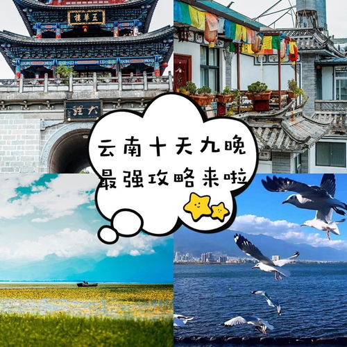 纯游彩云间·十天九晚丽江大理完美记,
